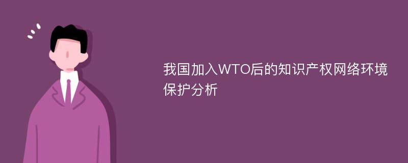 我国加入WTO后的知识产权网络环境保护分析